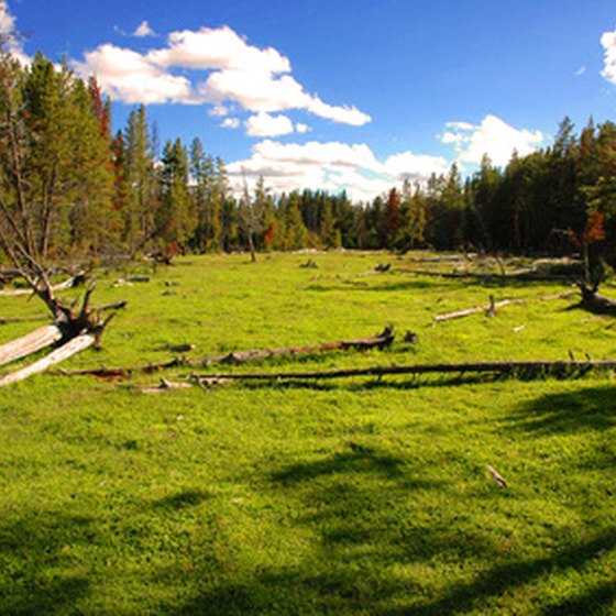 Various lodging opportunities exist just outside the south gate to Yellowstone National Park.