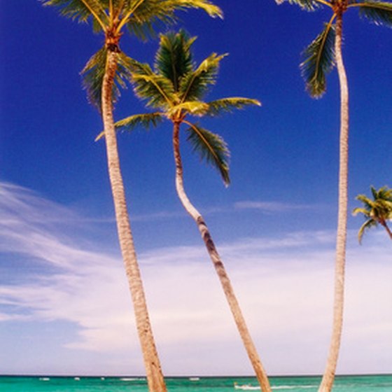 A picture-perfect Caribbean beach