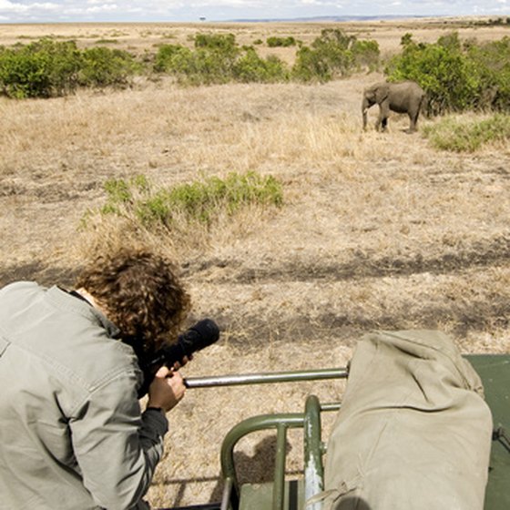 A camera is essential on an African safari tour.