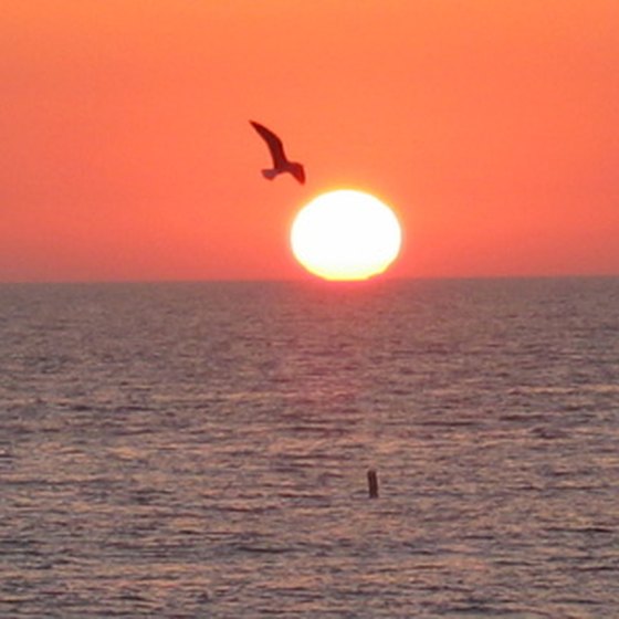Enjoy a stunning sunset on the Gulf of Mexico on Florida's west coast.