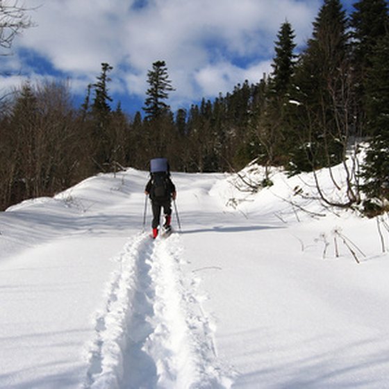 Cross-country skiing is just one of the many outdoor activities in Michigan.
