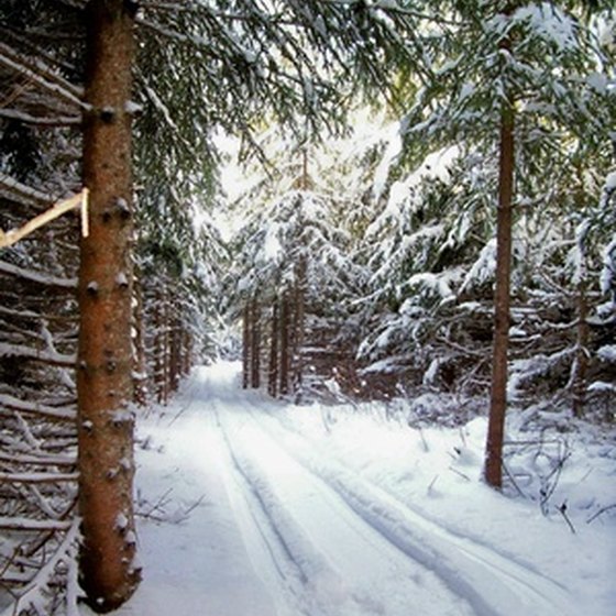 Groomed trails keep snowmobilers safe and off property where they might be unwelcome.