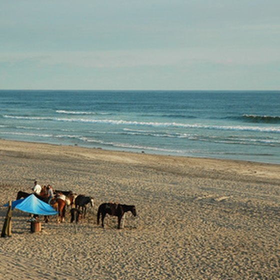 Pristine beaches line the coast of many parts of Mexico.