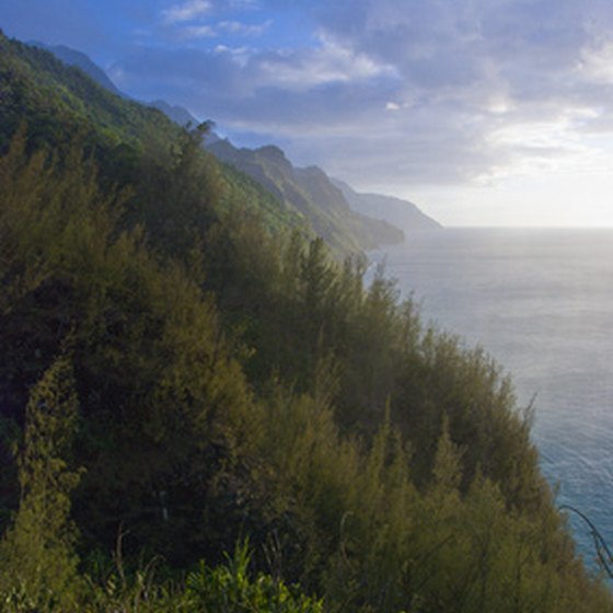 Hawaii is a beautiful and romantic place to plan a wedding.