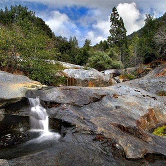 Sequoia and Kings Canyon national parks display spectacular natural scenery.