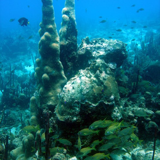 Cancun is home to the second largest barrier reef in the world.