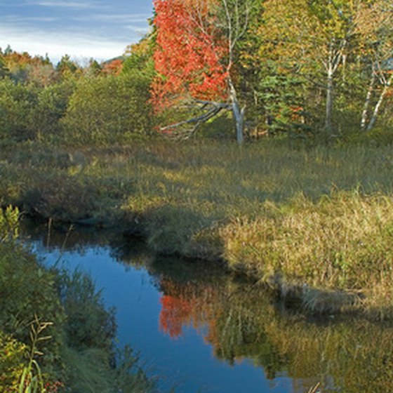 Maine is an all-season destination with many family-friendly destinations.