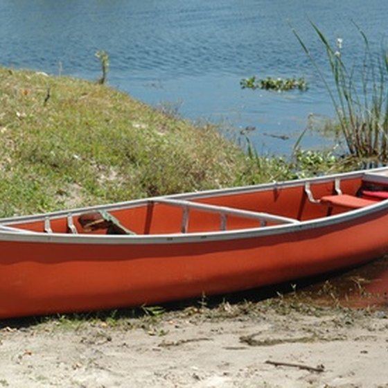 Canoeing in the Orlando area offers the chance to see a variety of wildlife.