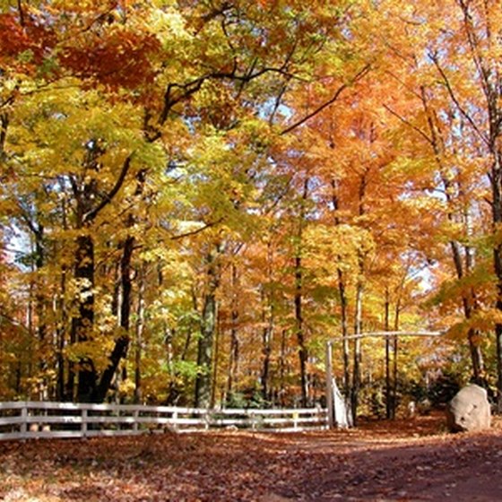 Fall in Petoskey is known for its brilliant fall colors.