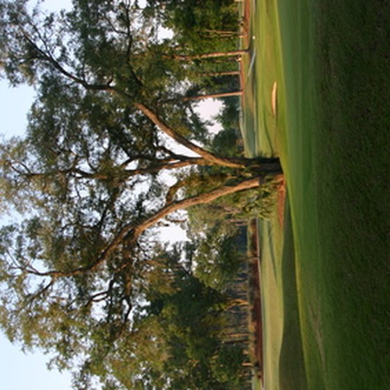 Golf at resorts in Oak Brook, Illinois.