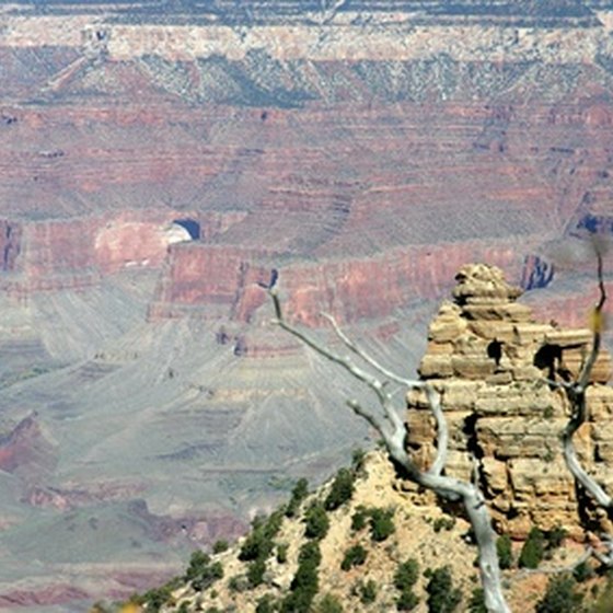 The Grand Canyon's South Rim welcomes 5 million visitors each year.