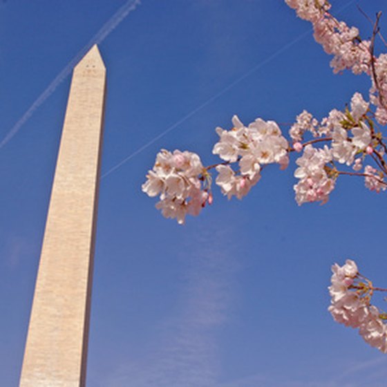 Photograph the Washington Monument on a group tour in Washington, D.C.