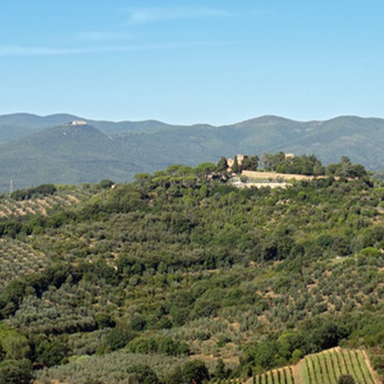 Tuscany is famous for traditional wines and contemporary blends.