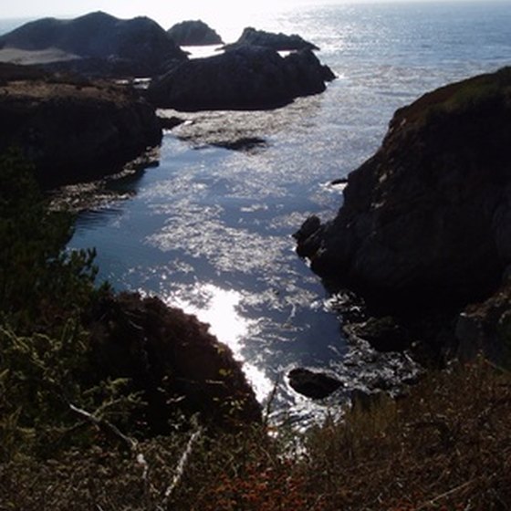 Rock formations and ocean views are a few of the reasons Point Lobos has become well-known.
