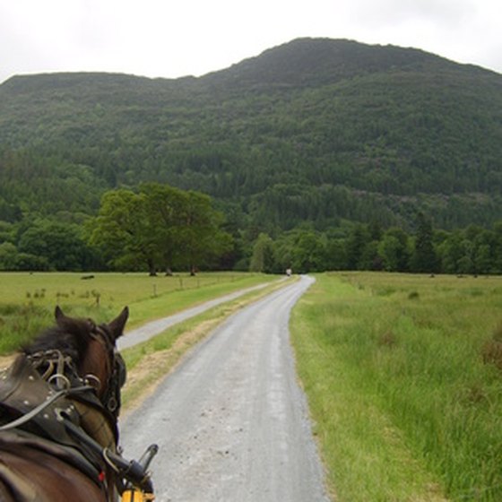 An Irish country trail.