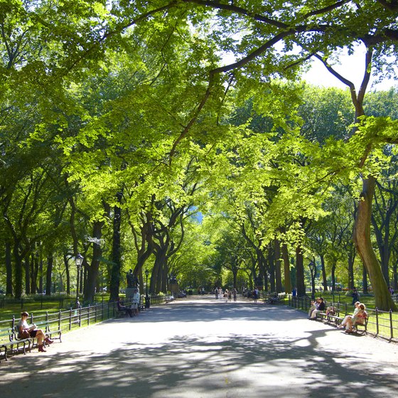 Families can enjoy a quiet afternoon in Central Park.