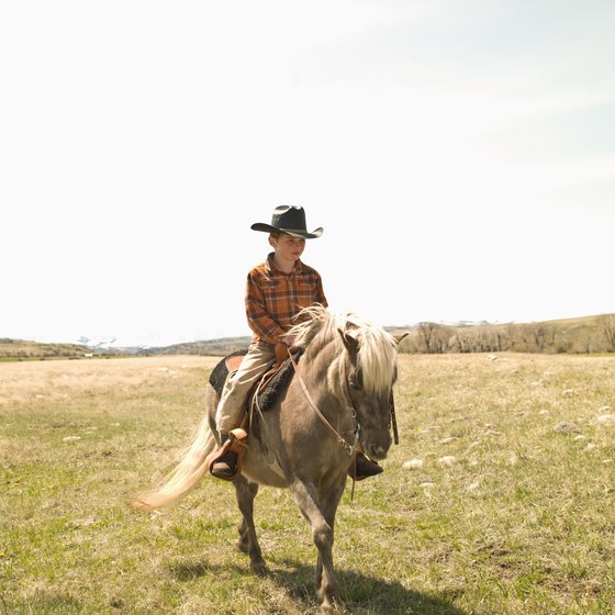 Unguided Horseback Riding Near Parker, Colorado | USA Today