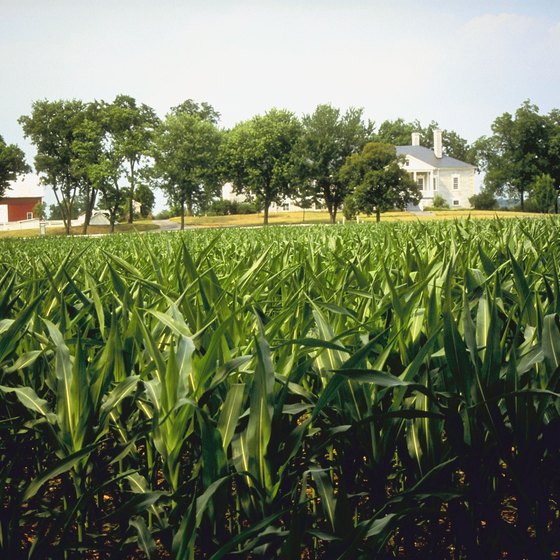 Virginia's plantations retain their green grounds from the 19th century.