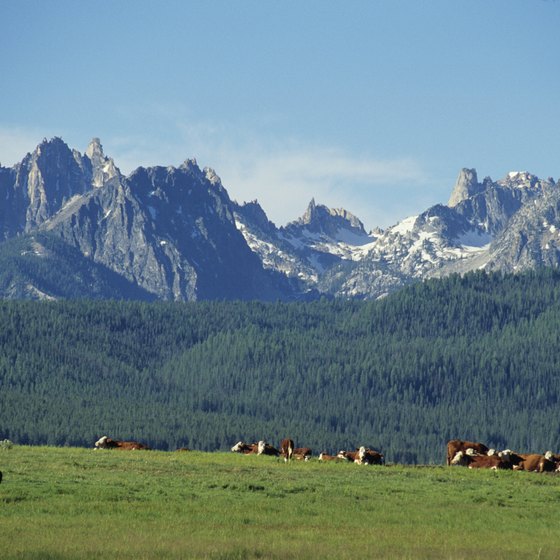 The Sawtooth Wilderness is northeast of Featherville.
