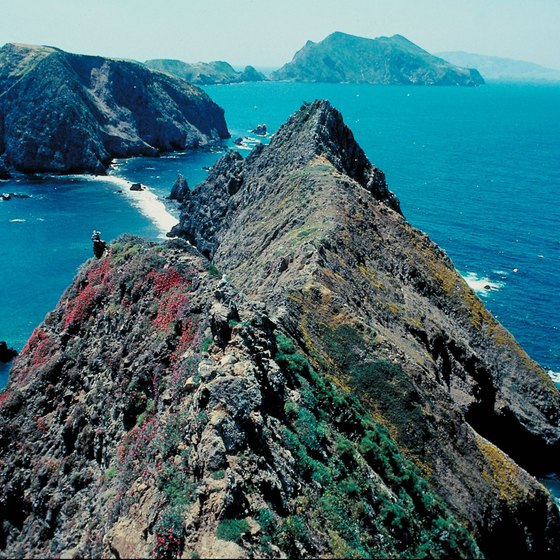 Channel Islands National Park lies off the southern coast of California.