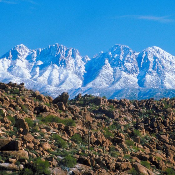 Explore offroad trails leading from warm desert to snowy peaks.