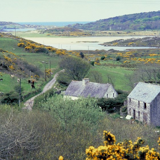 The Irish countryside is laid-back and popular for backpackers.