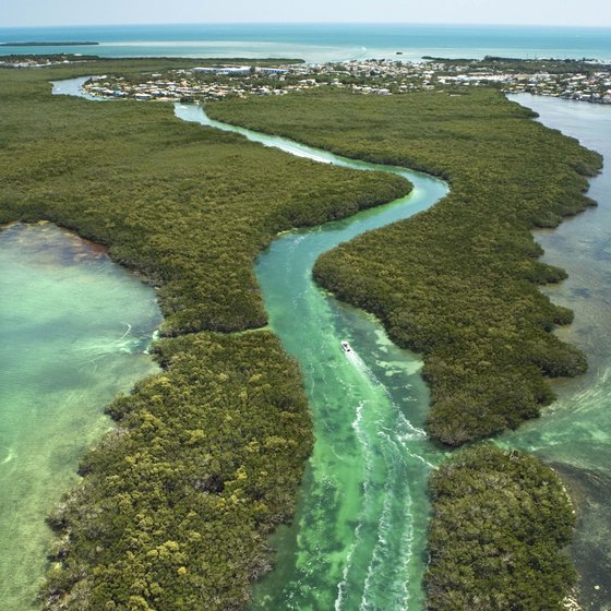 The Florida Keys are a productive spot for fishing and snorkeling.