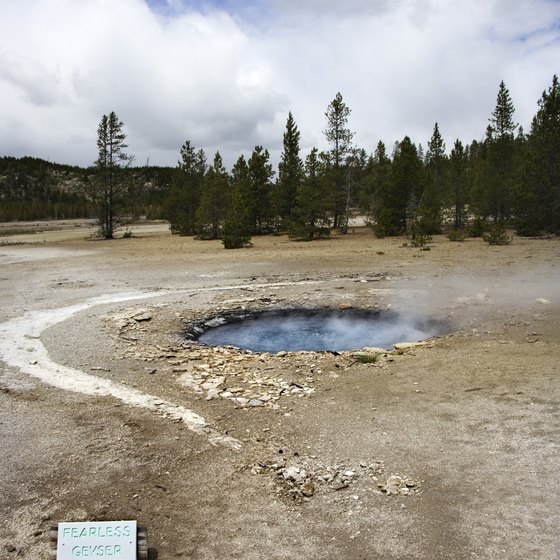 Geothermic features are just one of Yellowstone's many attractions.