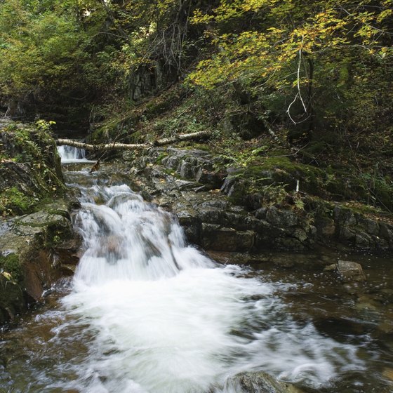 New York's Adirondack Mountains are full of streams, serenity and romance.