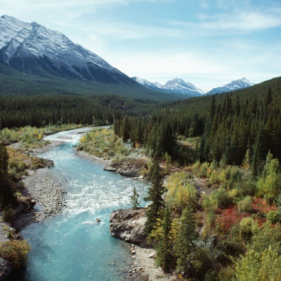Alberta's national parks offer a host of activities for outdoor enthusiasts.