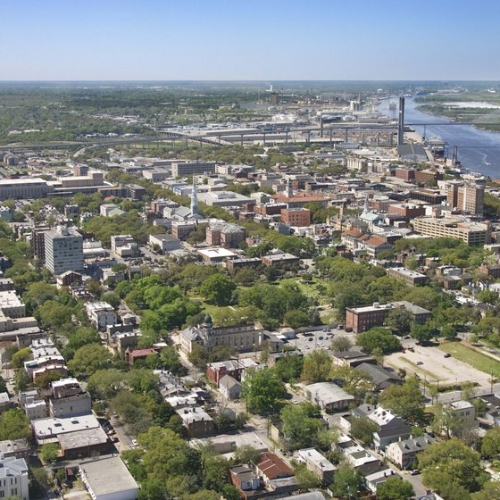 Non-fishing visitors to Wilmington Island may enjoy a trip to nearby Savannah.