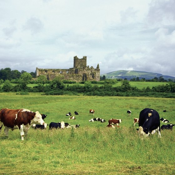 Dunbrody Castle offers bed-and-breakfast accommodation within its medieval walls.