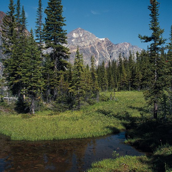 The Mt. Edith Cavell Trail takes you to panoramic views of Jasper National Park.