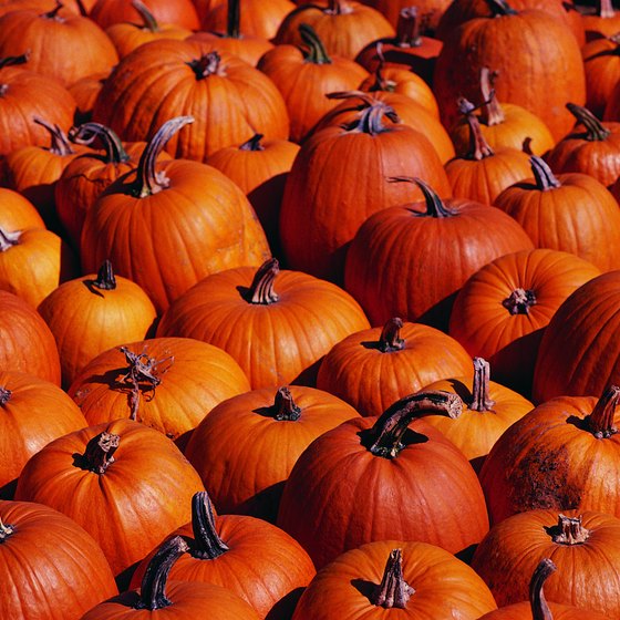 The Ludwigsburg Pumpkin Festival is the largest in the world and features more than 400,000 pumpkins and 450 different species.