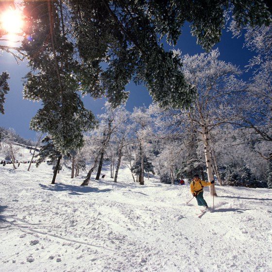 Vermont offers downhill, telemark and Nordic skiing.