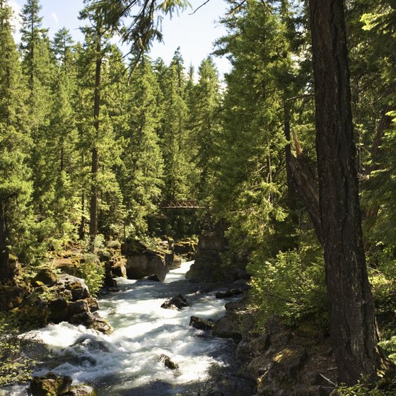 Fly-fishing and white-water kayaking are two popular activities on the Rogue River.