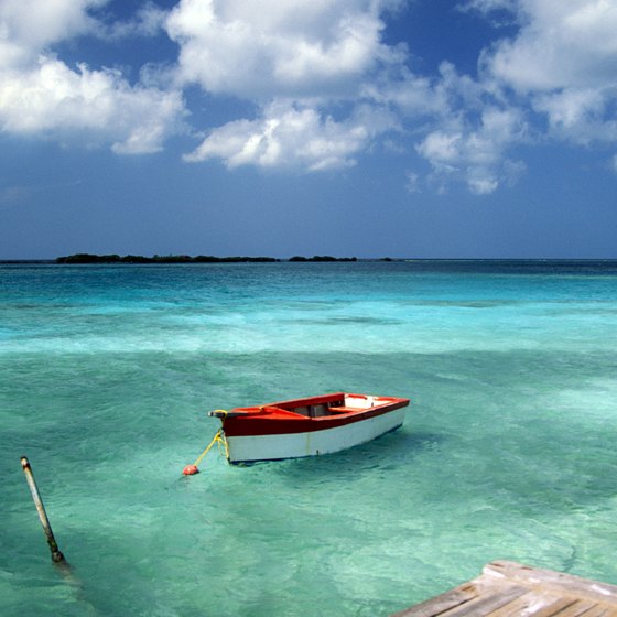 The clear waters of Aruba make it easy to see sea life.
