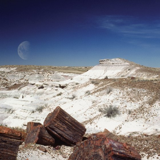 Holbrook is a short distance to the Petrified Forest National Park in Arizona.
