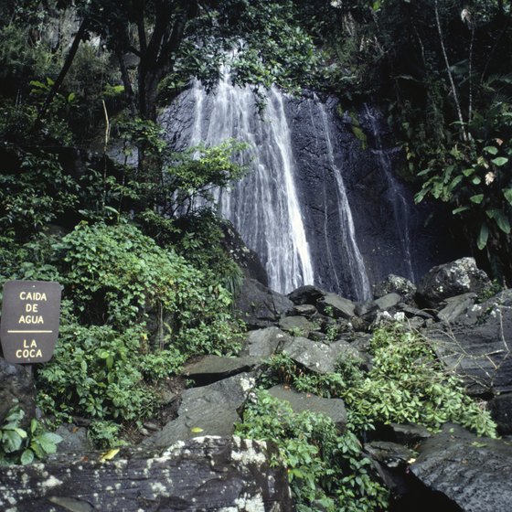Puerto Rico's El Yunque National Park