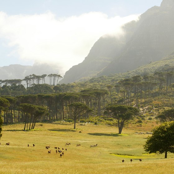 The South African countryside is a spectacular backdrop for trail riding.