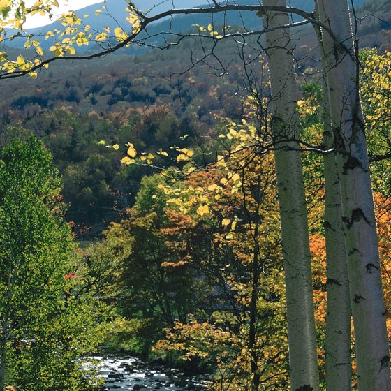 The White Mountains dominate the landscape near Rochester.