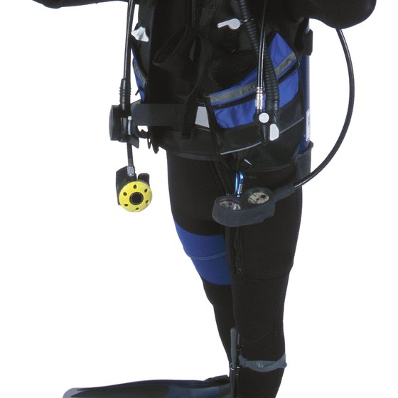 You can learn to SCUBA dive in Orlando.