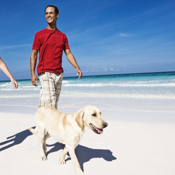 Dog beaches are fairly uncommon in the Sunshine State.