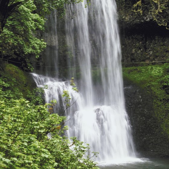 Many waterfalls in Connecticut are hidden in dense forests.