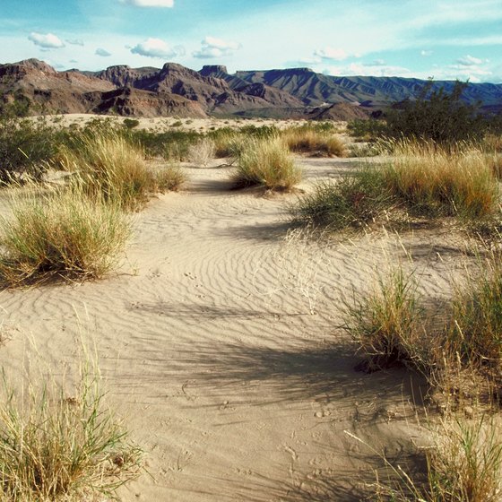 Hike the versitile desert areas near Las Vegas, Nevada.