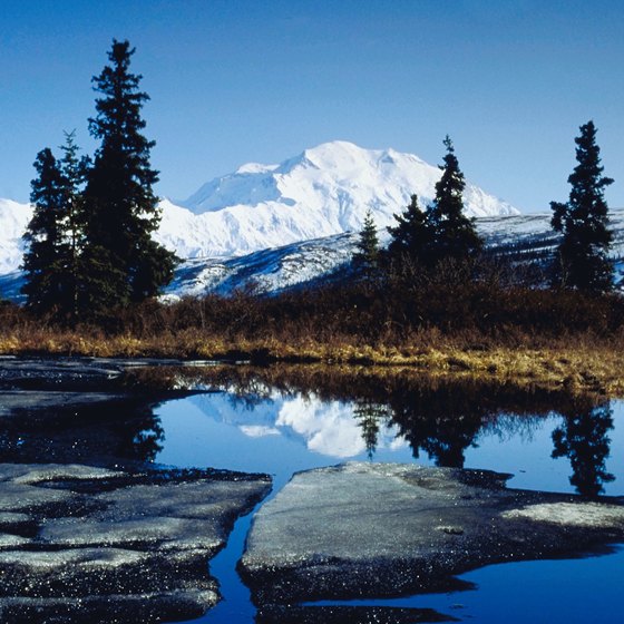 Discover Denali by bus tour, flightseeing cruise or on foot.
