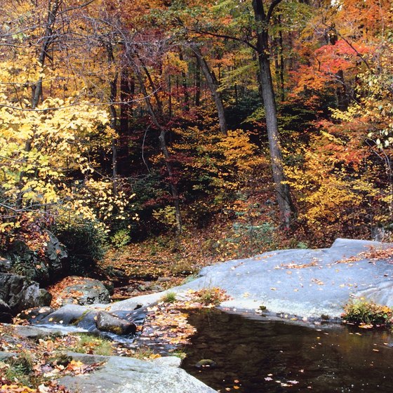 A good swimming hole is hard to come by, but a few are within easy driving distance of Avondale, Pennsylvania.