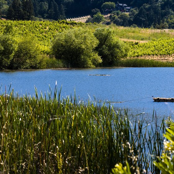 Stay near a lake when planning a wine country vacation.