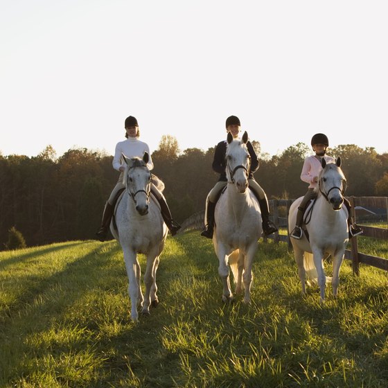 Missouri offers its share of horseback riding trails.