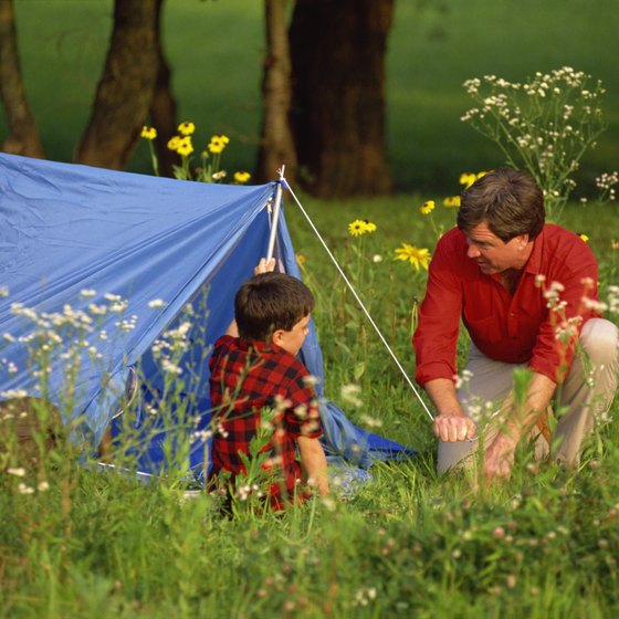 Set up your tent at one of several grassy campsites near the Creation Museum.